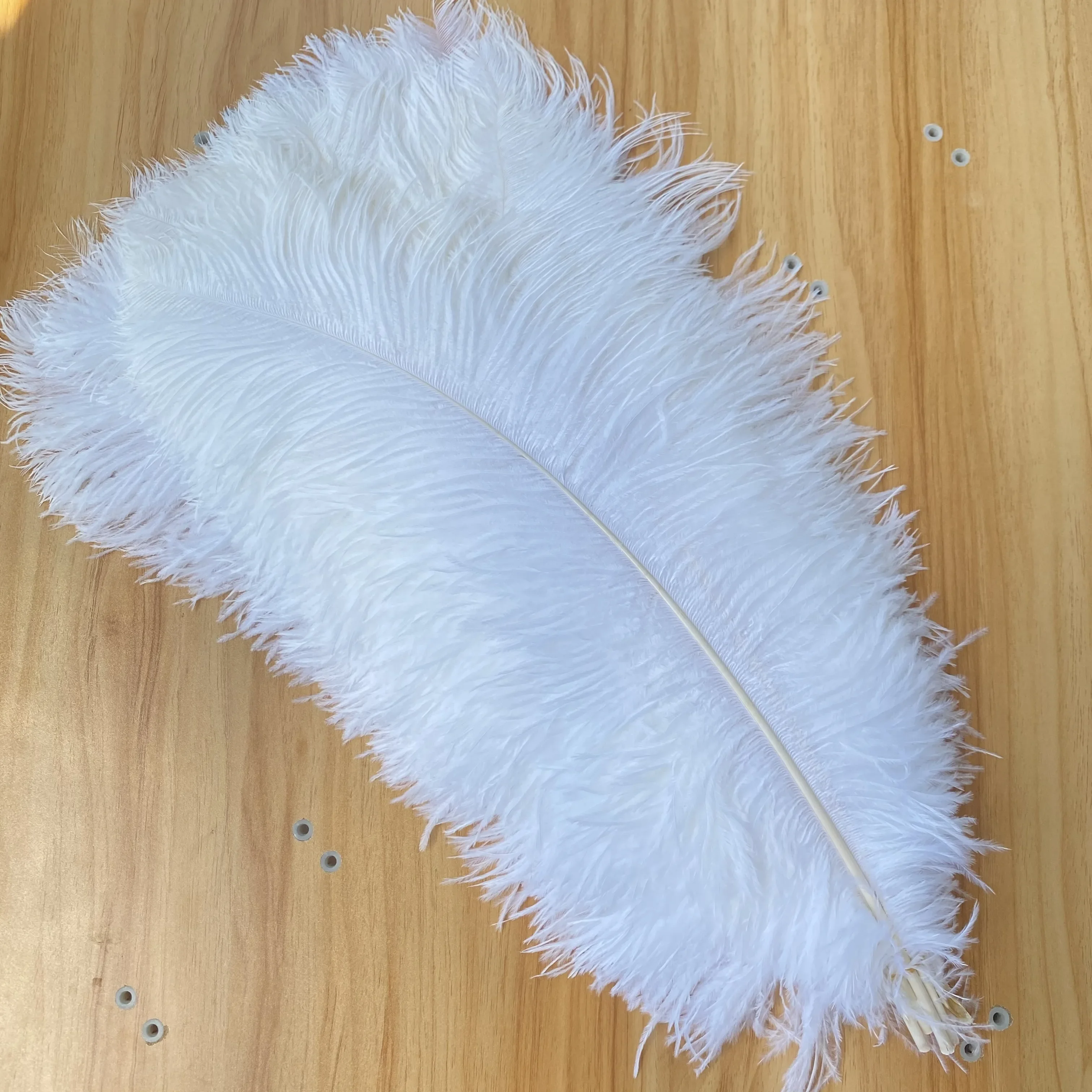 

10pcs White Big Ostrich Feathers Carnival Decoration Plumas 50-55cm/20-22inch Table Centerpiece Diy Feather Trim for Sewing Vase