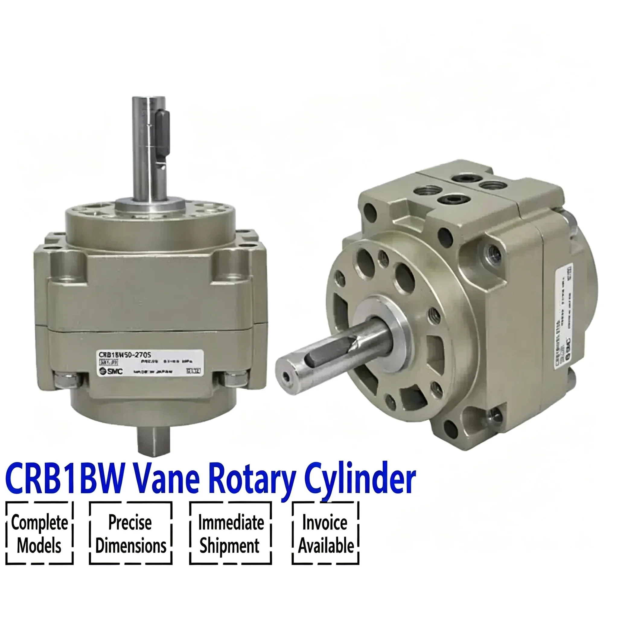 CRB1BW/CDRB1BW50/63/80/100-90°-180°-270° Vane Rotary Cylinder