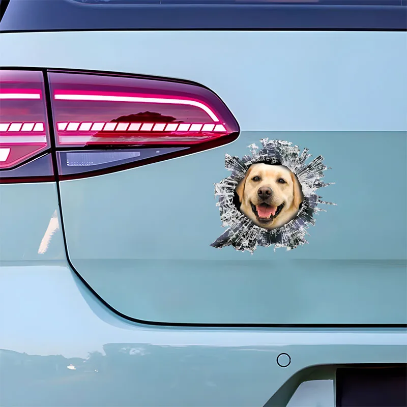 DK562# Labrador Car Stickers Scratch Blocking Self-Adhesive Waterproof Decal, Used for Car, Laptop, Motorcycle, Van, RV