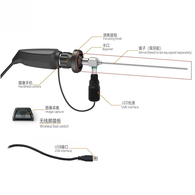 High-quality European pet portable endoscopy veterinary cystoscope dog health care practical veterinary equipment