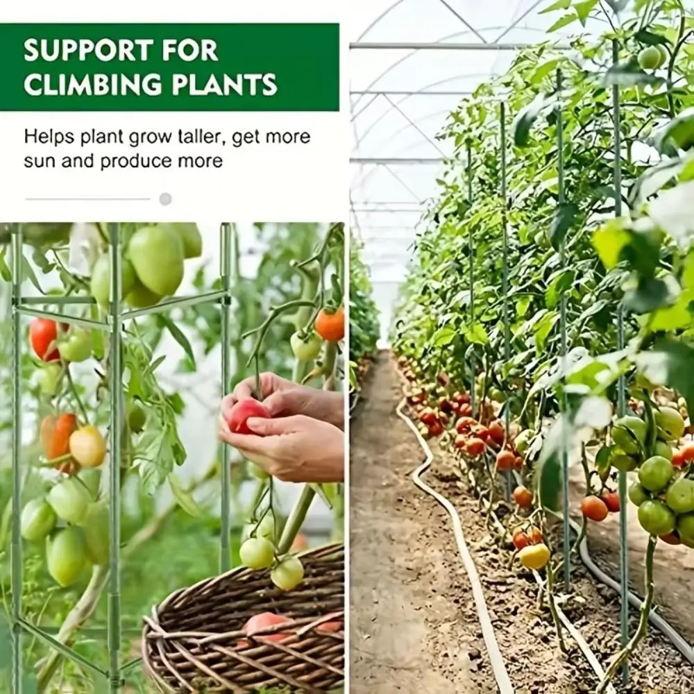 Durable Plant Climbing Trellis Heavy-Duty Steel Easy Assembly Tomato Cages Stackable Stakes Square Design Vegetable Trellis