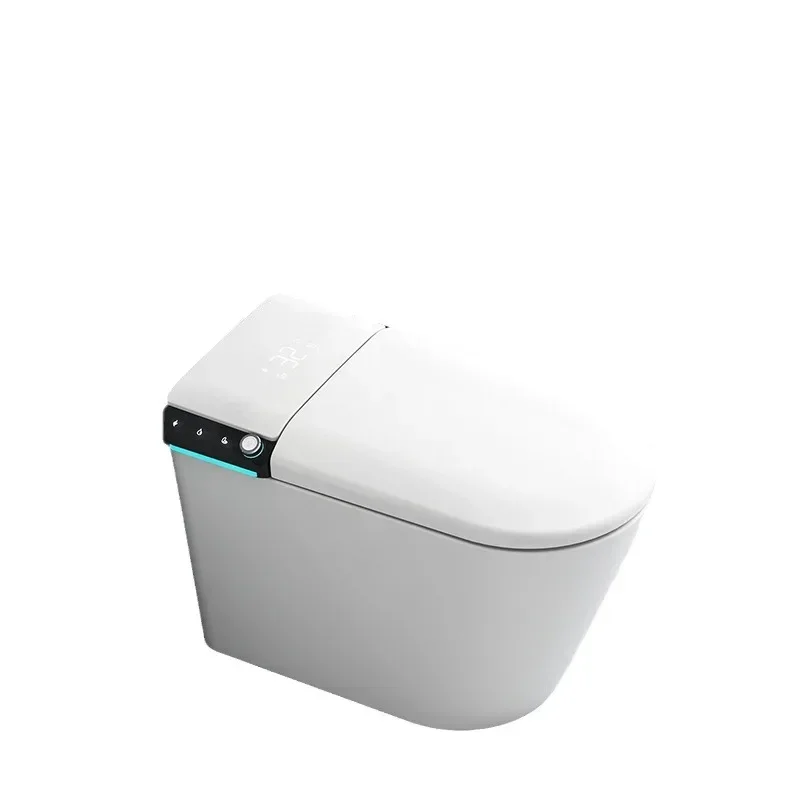 

Fully automatic smart toilet home