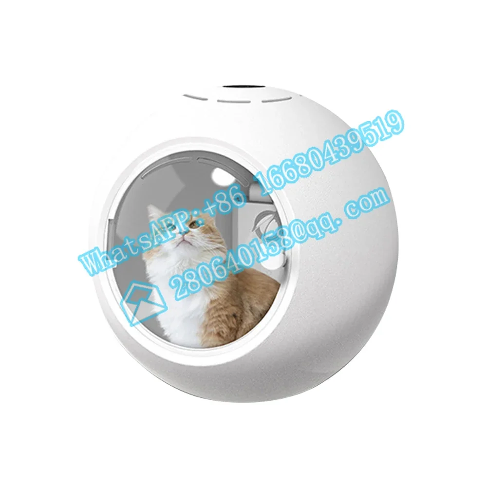 2022 Hot Sale Drying And Disinfection Pet Grooming Hair Dryer Machine Large Hair Blower Drying Box