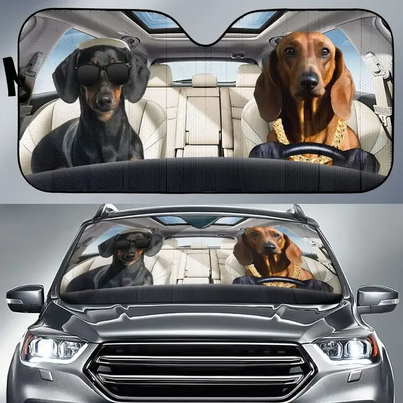 Pare-soleil personalizado para voiture, chien teckel, housse de voiture, protección de fenser, pare-brise