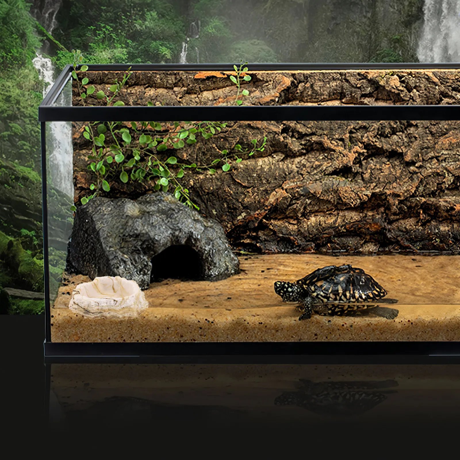 Water Dish Reptile - Tazón de Resina para Comida y