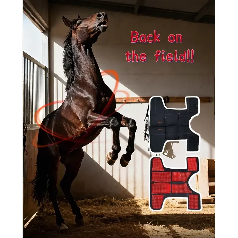 Horse Blanket Equestrian 660+850nm Red&Infrared Light Rug Therapy Veterinary Instrument for Race Body Healthcare