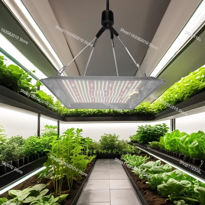 150 Watt Quantum Board Light Emitting Diode Growth Full Spectrum Succulent Cactus High Red Emission IP54 Greenhouse