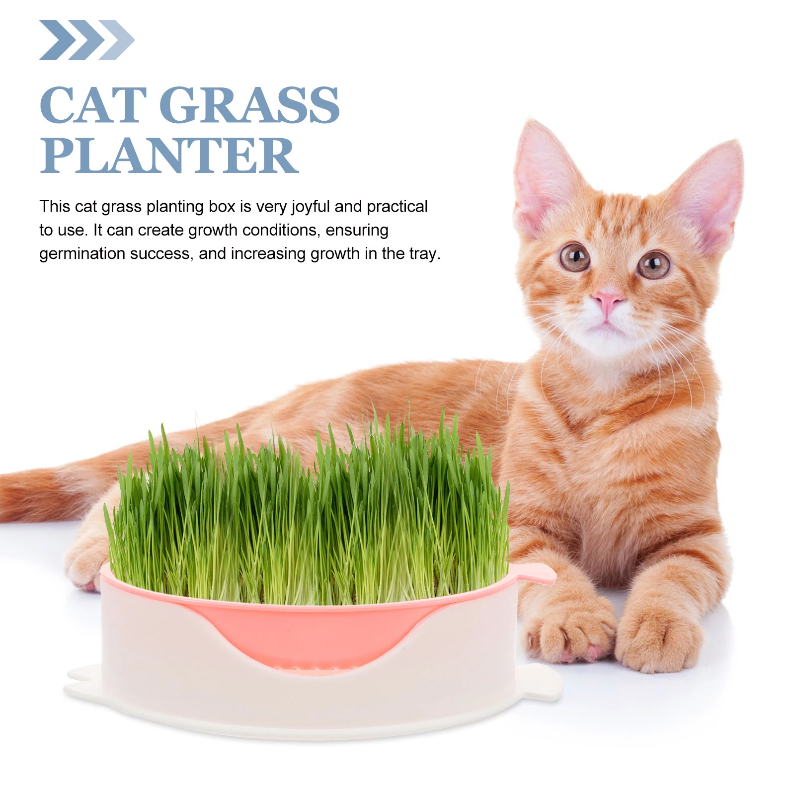 

3 Pcs Grass Planter Hydroponic Soilless Planting Box Nursery Tray Hydroponic Catnip Planting Box Tool Set