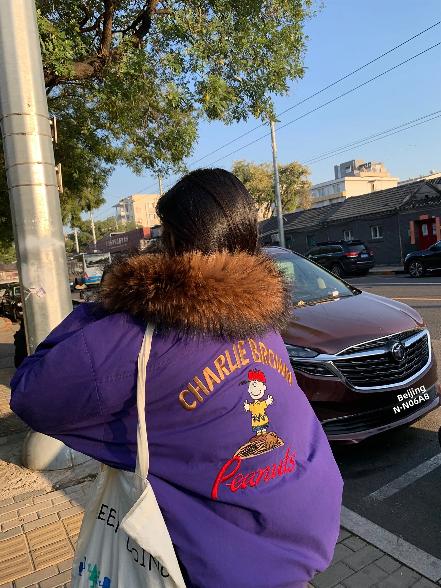 

Women's Cotton Jaet 2025 New Sle Loose Fit Large Fur Collar Polyester Fiber Fill Korean Sle Commute Embroidery