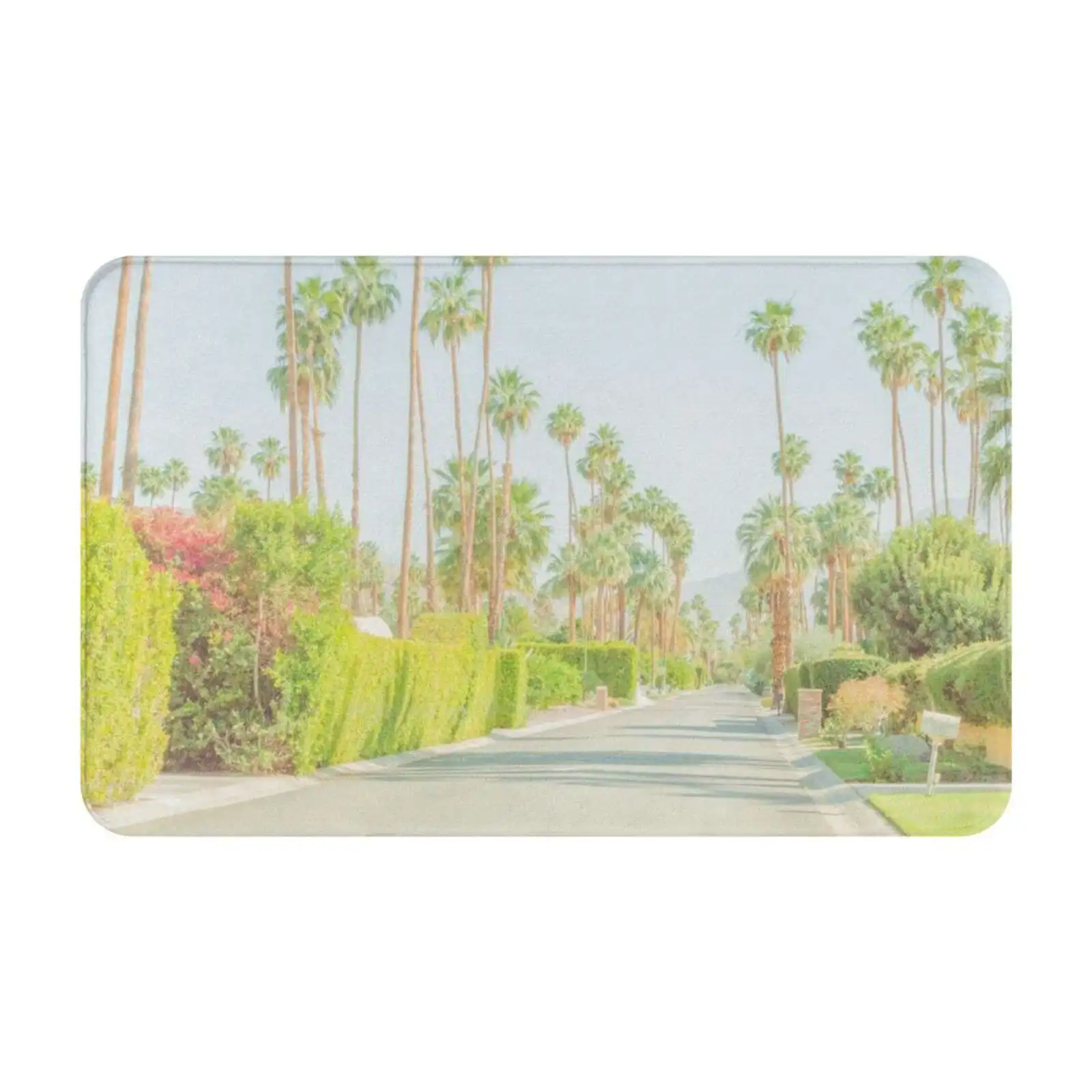 Palm Springs Tree-Lined Street In California Desert Soft Cushion Car Home Carpet Door Mat Isabelle Winardi Idraniwinardi Palm