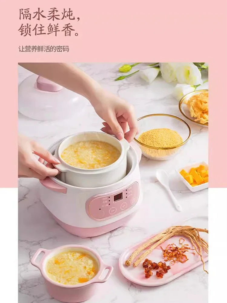 110V/220V Electric Steamer Ceramic Double Boiler for Home Use Multifunctional Slow Cooker USA Canada Japan