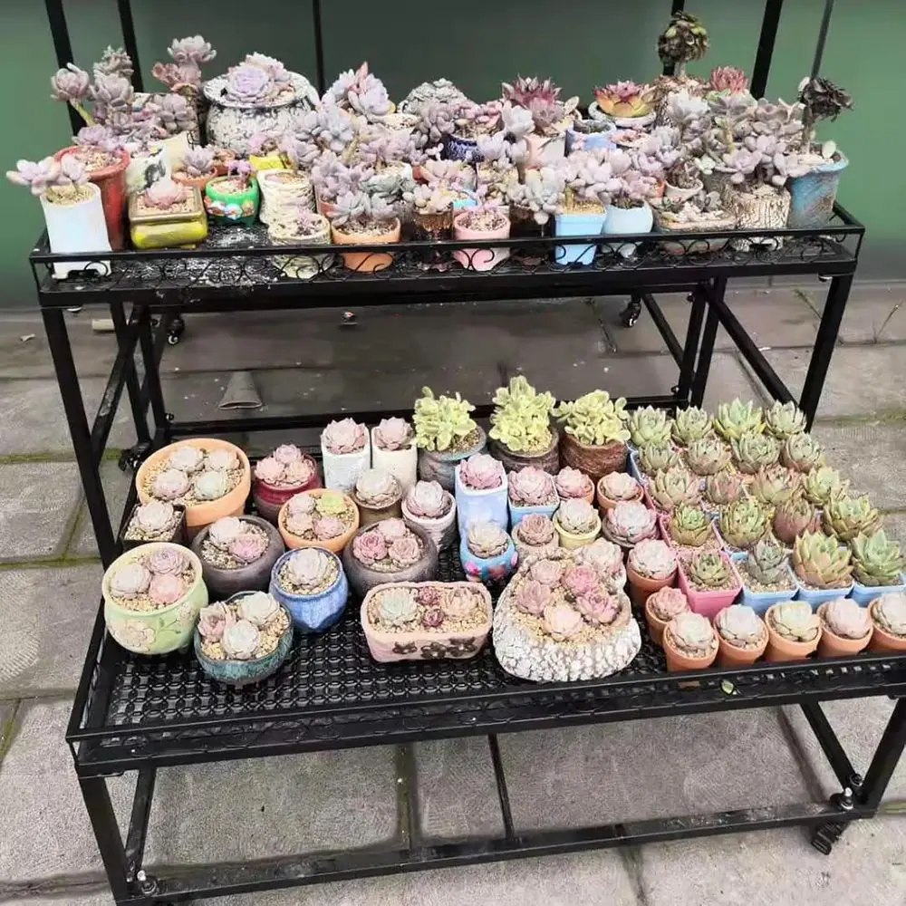 2-Tier Rolling Metal Plant Stand - Ladder Style Pot Rack for Indoor & Outdoor Flower Displays