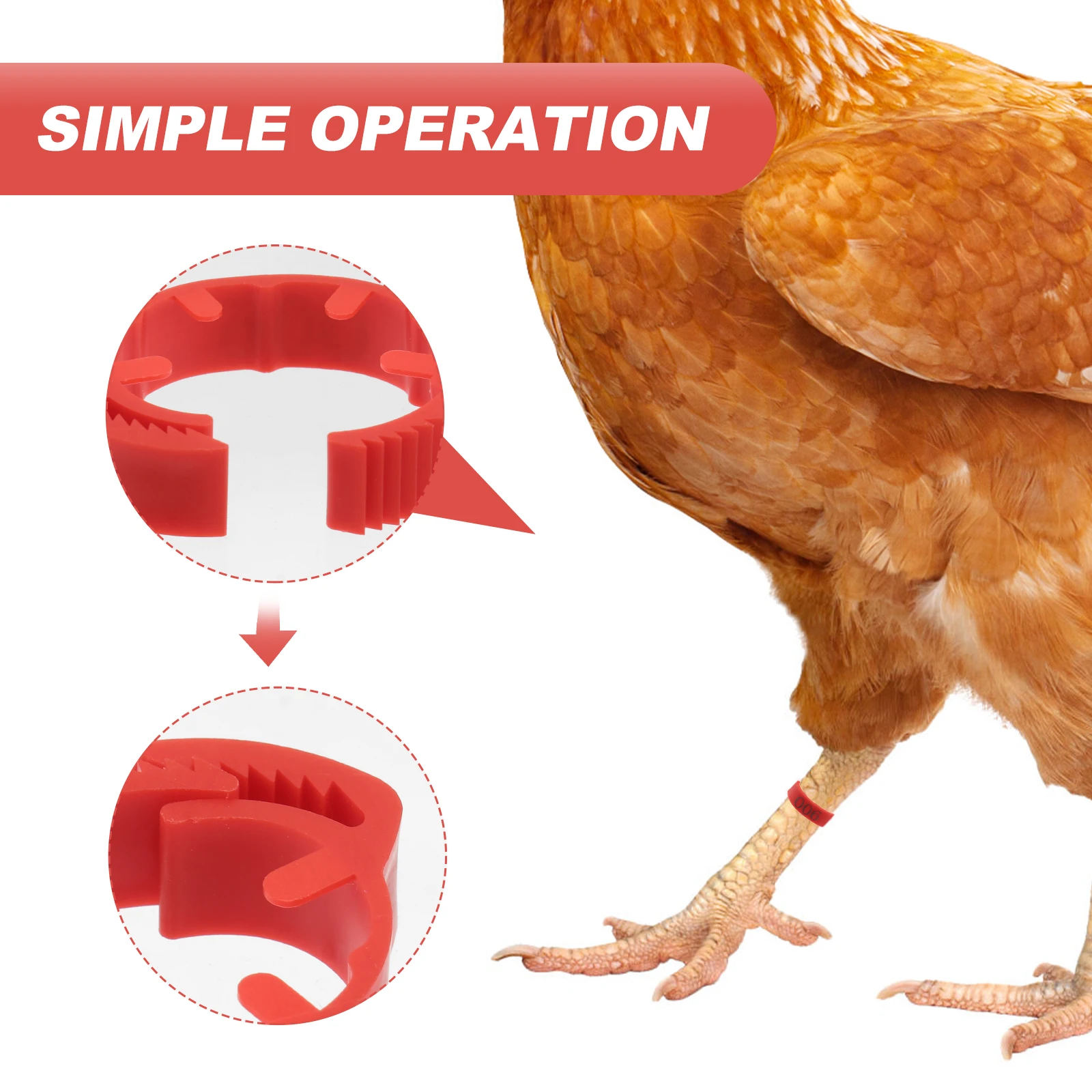 

Digital Bird Foot Rings Chicken Anklet Lightweight Durable Reusable Red Plastic Poultry Ring Identification Pet Supplies