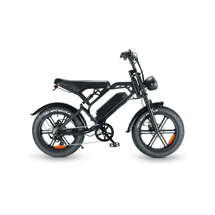 Tamobyke High Power 20inch Fat Tire E-Bike 48V 750W Dual Motor Electric Bike Mountain Electric Bicycles