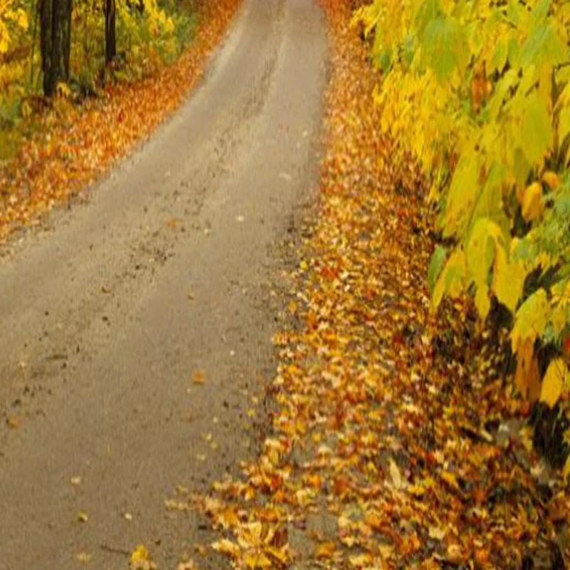 

JX PDI-6115MG 15kg 6V 0.126Sec High Speed Standard Digital Coreless Servo Motor Robot UAV Hobby Education Parts For 1/10 RC Car