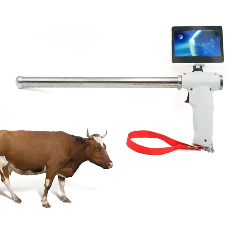 

Animal Artificial Insemination Equipment Digital AI Gun Visible Cattle Kit For Cow