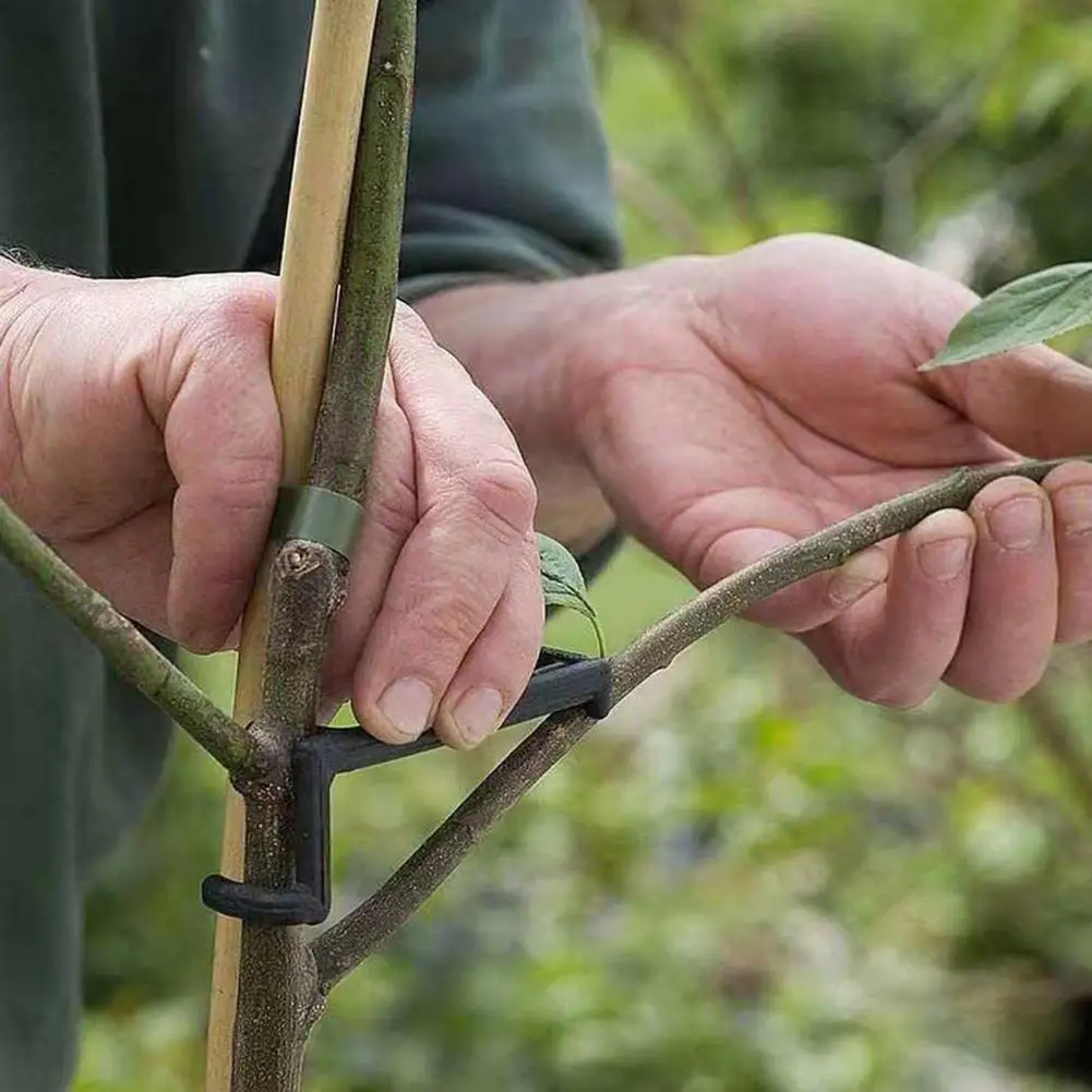 10Pcs Branch Holder Adjustable Height Pressure Resistant Weight Capacity Anti-sagging Fruit Tree Branch Spreader Courtyard Tool