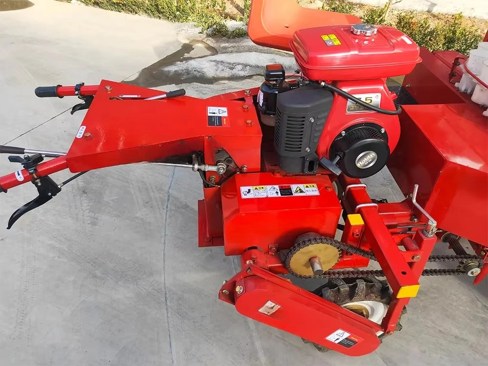High Efficiency Automatic Onio - Agriculture Onion Farming 评论和价格