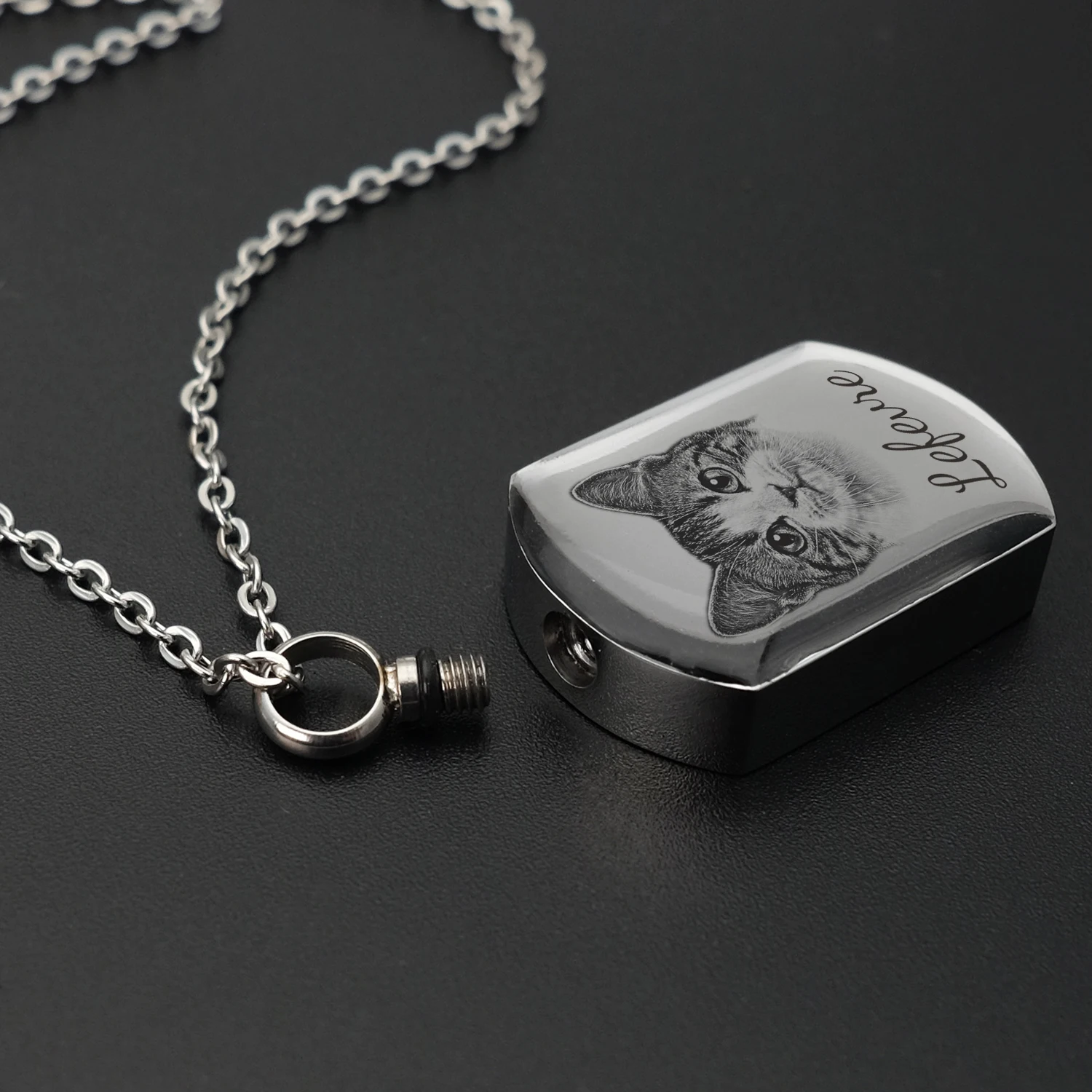 Pet Memorial Urn Pendant, Cremação Jóias, Retrato personalizado, Cinzas para cão, Colar Memorial Cat