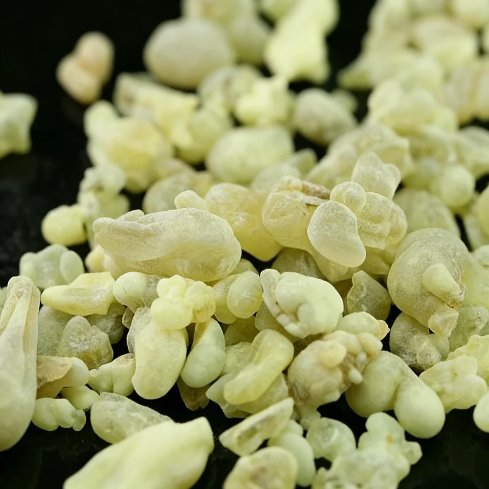 Oman Hojari Frankincense: Resina Verde de Olíbano para Queima, Fragrância de Olíbano Sacra, Hidrossol Grau Alimentício
