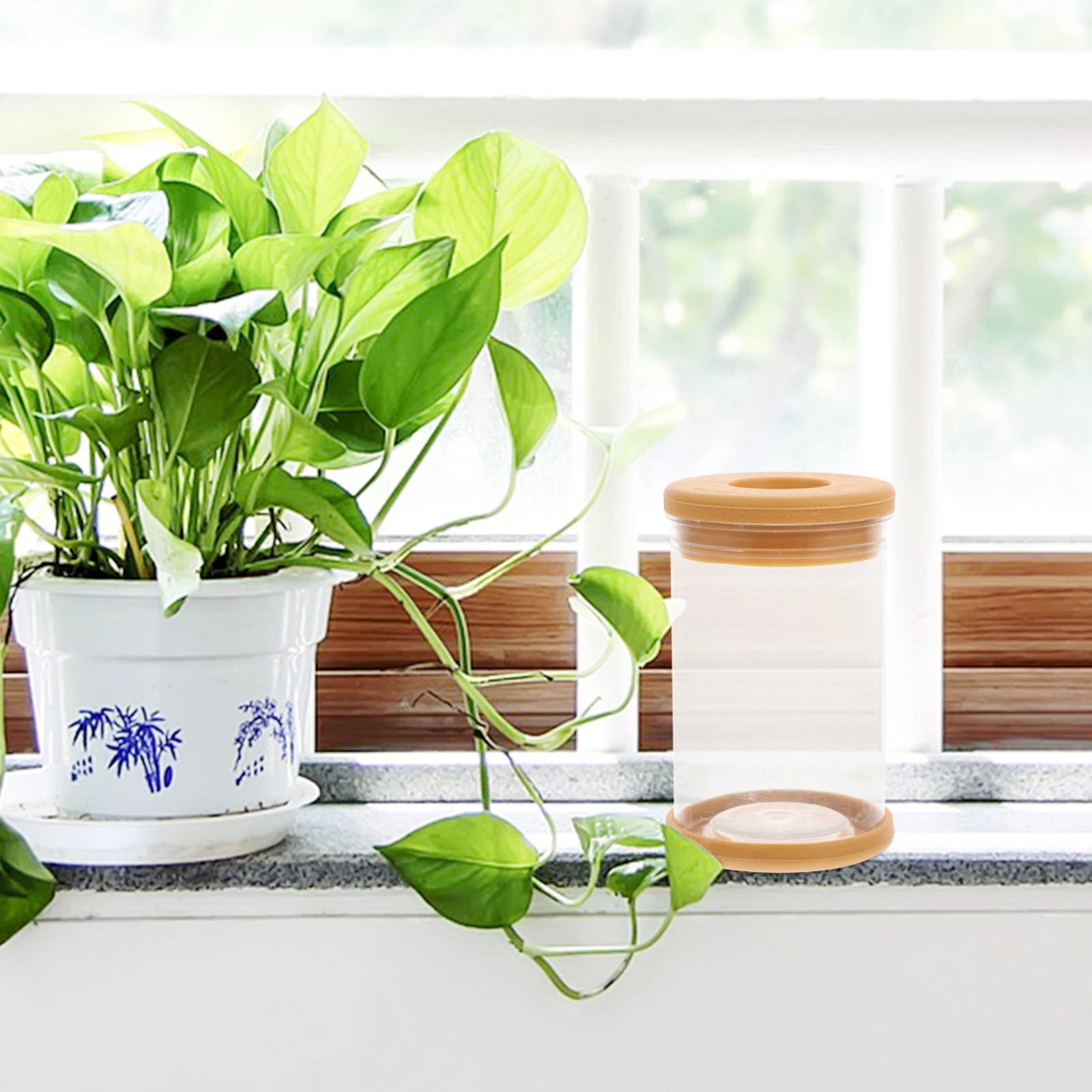 

4 Pcs Cylinder Imitation Glass Planter Self Watering Plastic Flower Pot Pet Container Hydroponic Garden Supplies