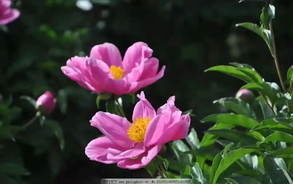 

Qualcomm 8 Core For Nissan Pathfinder 2012-2020 Car Radio Multimedia Player Android 14 GPS Navigation Carplay