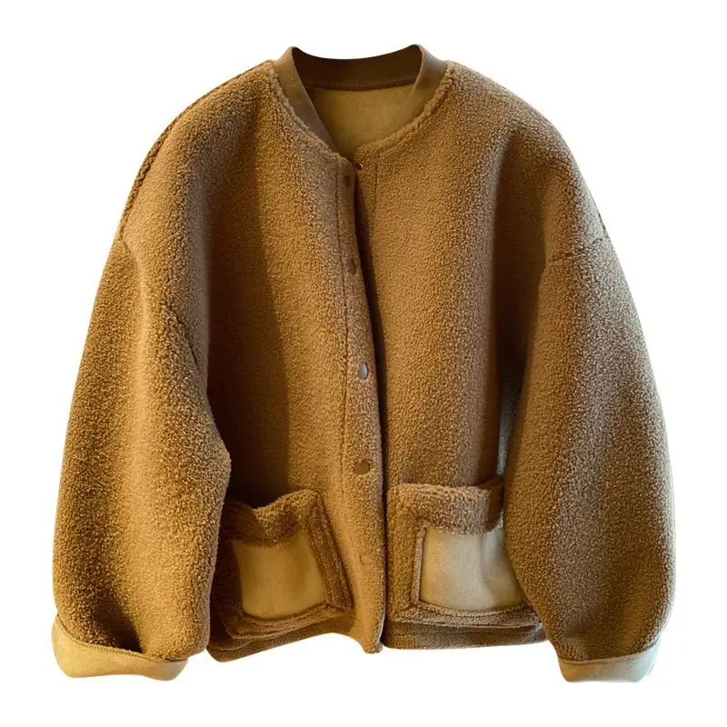 2025 New Korean Version of Loose Casual Lamb Wool Coat Women's Autumn and Winter Wear Thickened Suede Fur Integrated Top