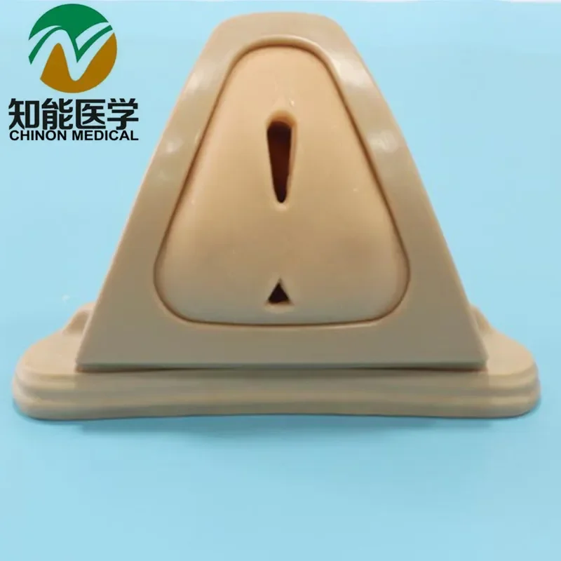 

BIX-F3A Incision And Suture Perineum Skills Training Model MQ188