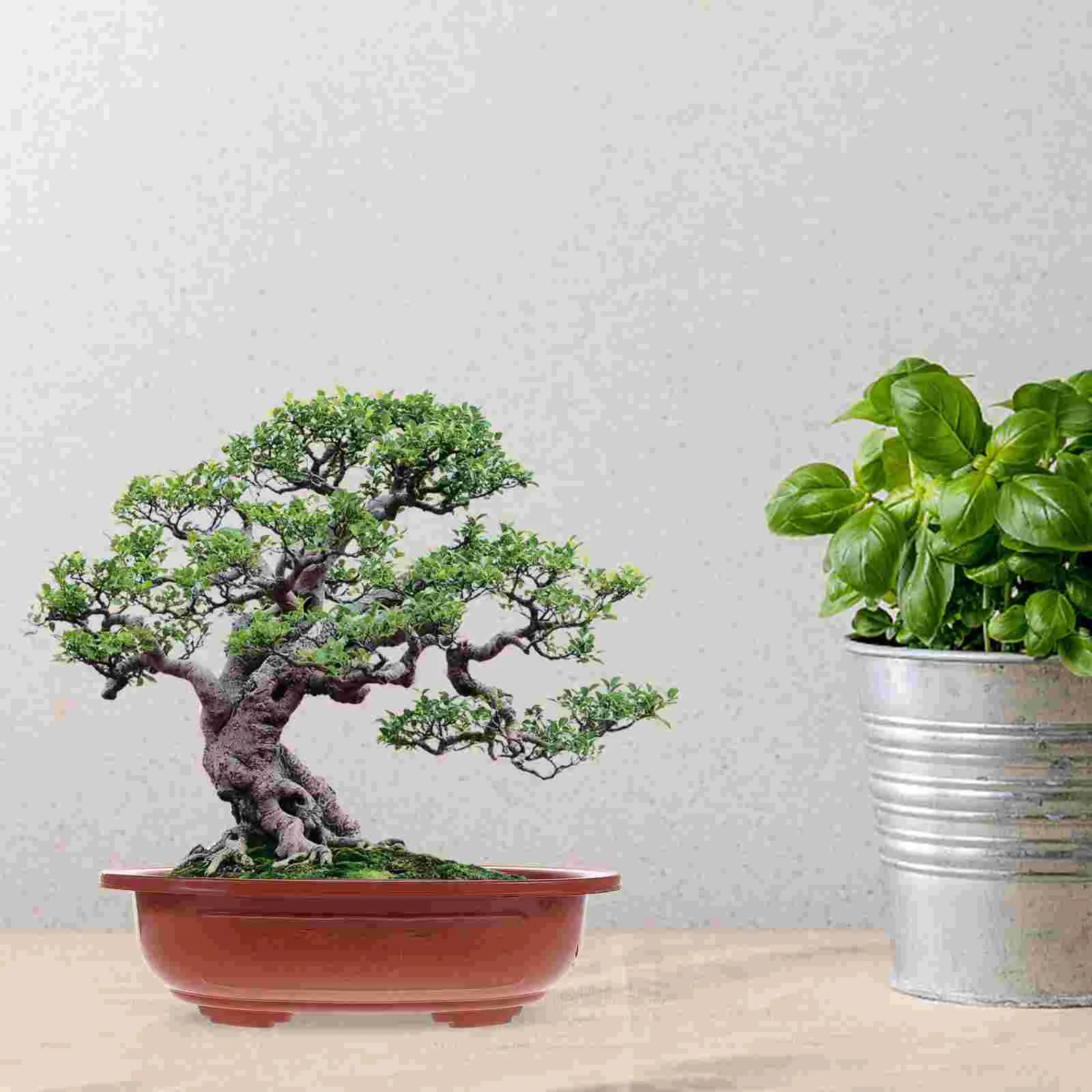 4 pezzi vaso da fiori addensato fioriera per uso domestico vasi da interno scatole per bonsai supporto per piantare piante succulente in plastica