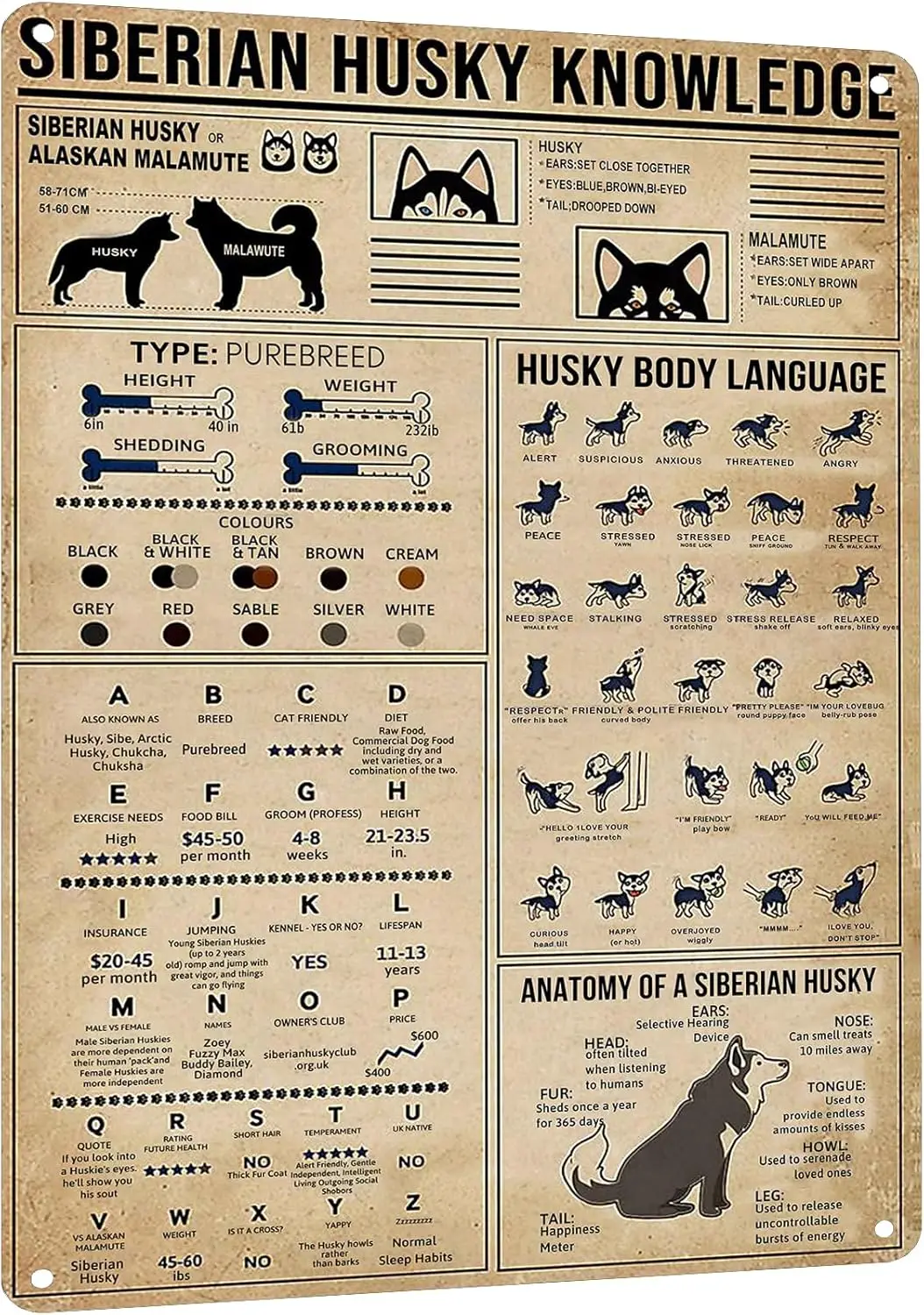 Vintage Funny Siberian Husky Knowledge Metal Sign - Dog Lover Gift, Rustic Home & Patio Decor Tin Poster, Wall Art for Farm sign