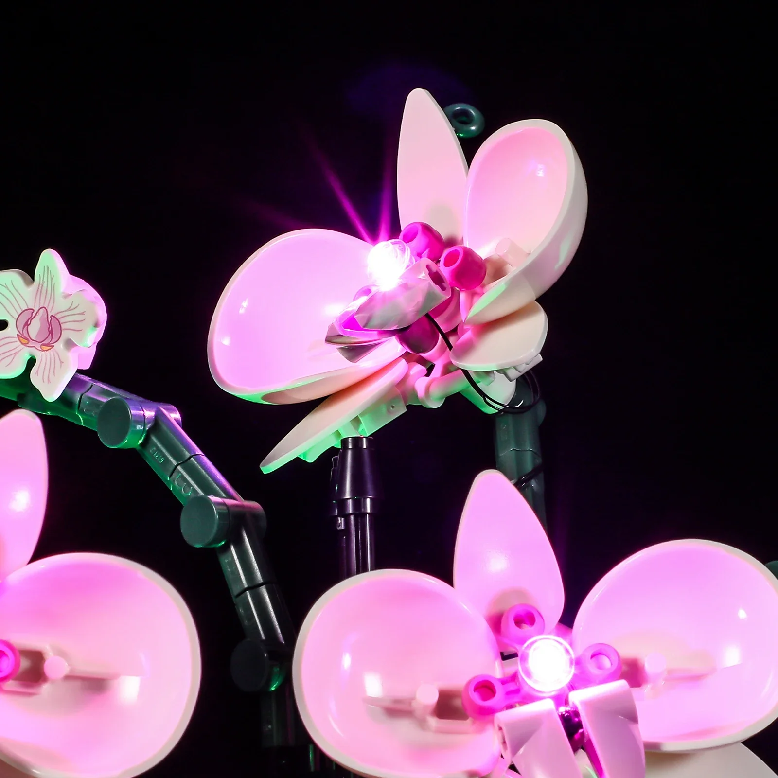 Botanical Collection Lighting Set For 10311 Orchid Flower Not Include Building Blocks (Only Led Light Kit)