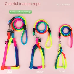 Dog Pet Leash + Harness Two-Piece Set Cat Leash Colorful Pet Harness Round Rainbow Color Cat Leash Dog Chain