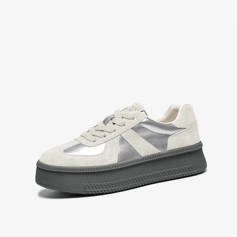 Sliver Gray