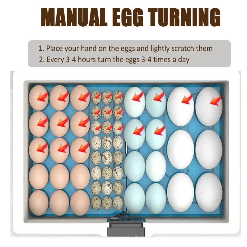 Egg Incubator Automatic Bionic Waterbed Incubator Egg Photo Machine Smart Thermostat Novice Incubation Poultry Turtle Lizard