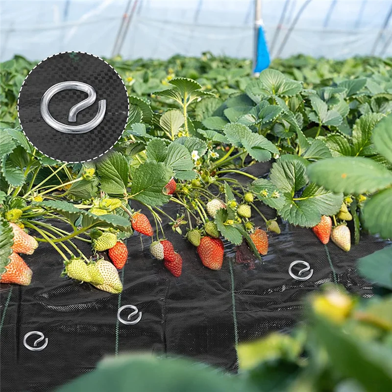Grapa de jardín antioxidante de Metal, grapa de paisaje de 100 piezas de 6 pulgadas para asegurar la barrera de malas hierbas de tela para césped