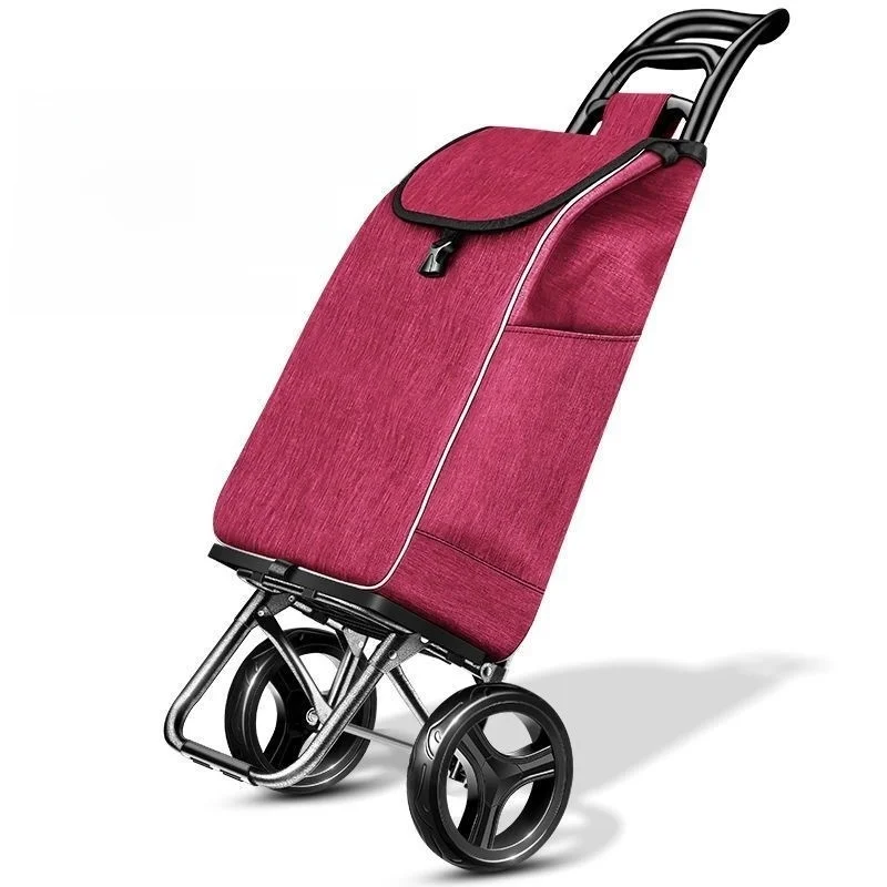 carrito-de-compras-plegable-portatil-carretilla-de-mano-pequena-con-ruedas-grandes-para-personas-mayores-con-asiento-y-barr