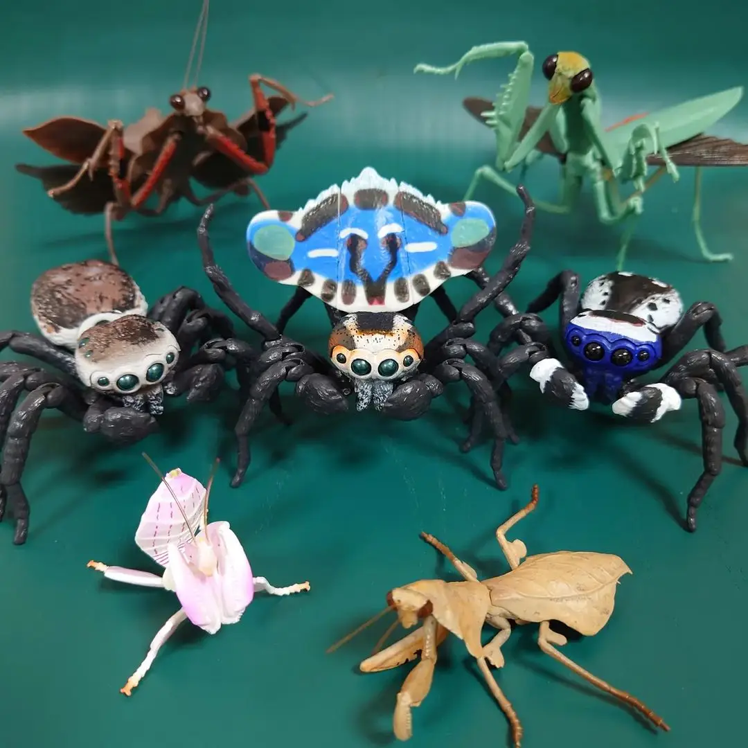 

Genuine Gashapon Toys Simulation Insect Biographical Book Peacock Spider Poisonous Spider Jumping Spider Action Figure Toys