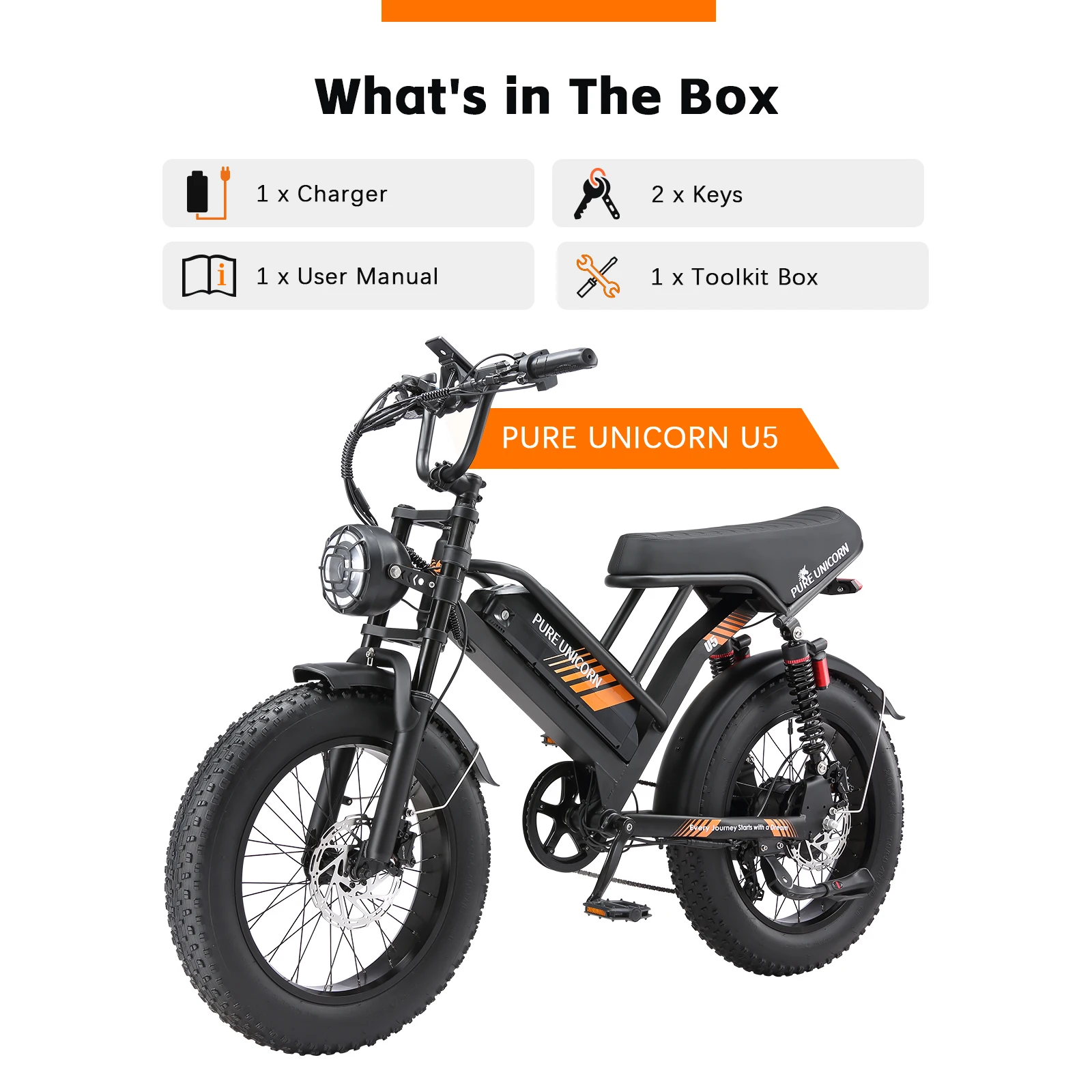 Fat Tire Elektrofahrrad 48V 1000W 19,2Ah Langstrecken-E-Bike für Herren 45KM/H 20 Zoll Moped-Style Mountain E-Bike – Detail 11