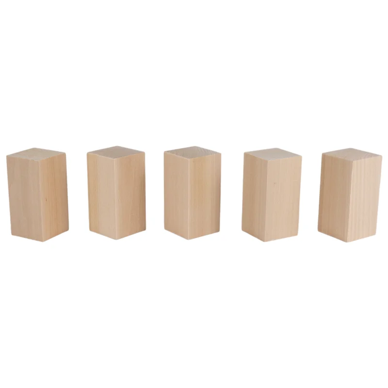 F-T Paquete de 10 bloques para tallar tilo, kit de bloques para tallar en blanco para principiantes, bloques para tallar de madera sin terminar (5L + 5S)