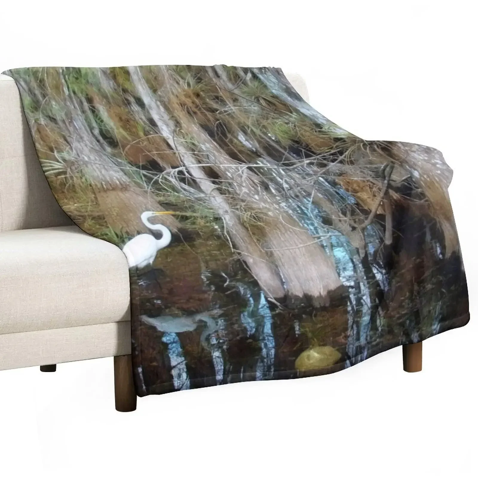 New A Big Day at Big Cypress National Preserve, Florida Throw Blanket christmas decoration Sofa Blankets