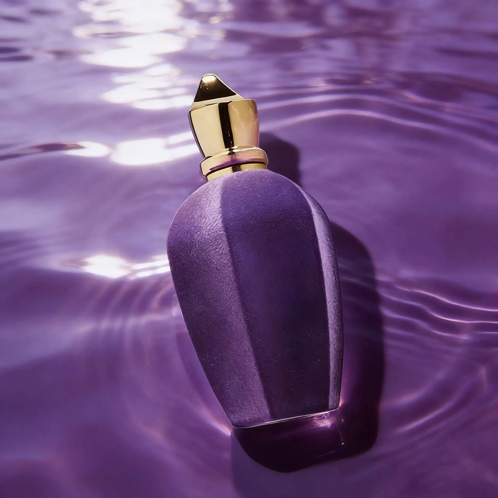 

Xe Opera Coro SOPRANO Eau De Parfum Spray (Unisex) Erba Pura Eau De Parfum Luxury Fragranclong-lasting fragrance