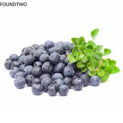 20pcs High Simulation Blueberry Model Photo Props Fake Fruit Ornaments Artificial Food Two Size Blueberry Fruit Shop Model Decor