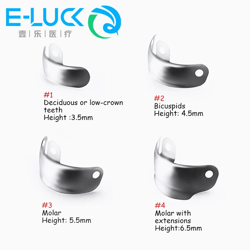 Dental Matrix Bands Sectional Contoured Metal Matrices For Teeth Replacement Dentist Tools Dentistry Material