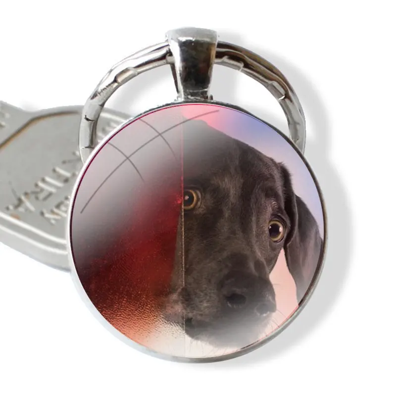 Weimaraner Hondenkunst Puppy Sleutelhanger Handgemaakte Glazen Cabochon Sleutelhanger Hanger Sleutelhangers