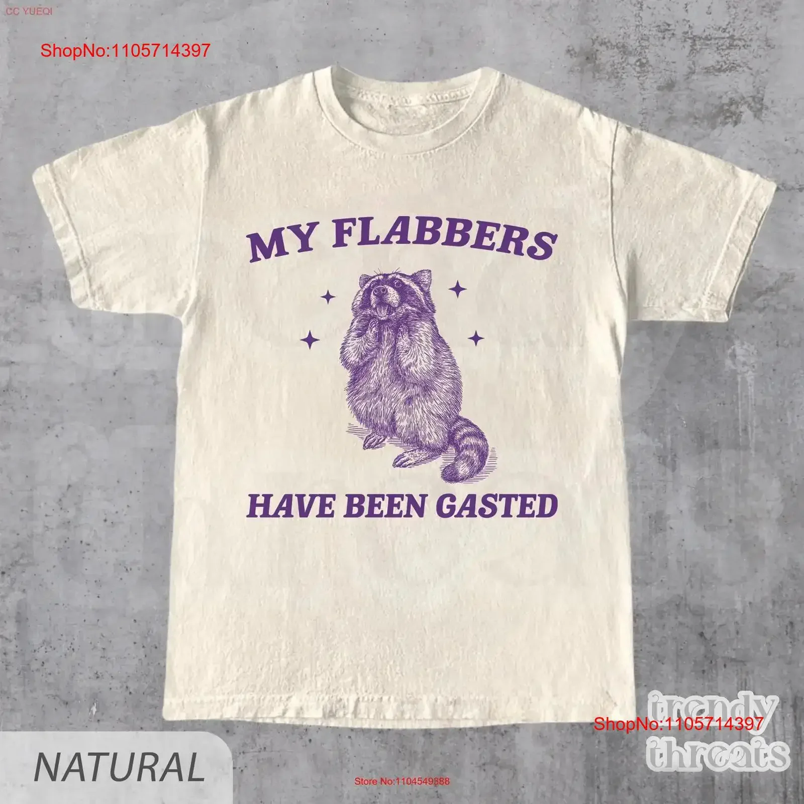 My Flabbers Have Been Gasted T Shirt Funny Raccoon Meme Trash Panda Sarcastic Snarky Adult Humor Quotes vintage Washed Soft
