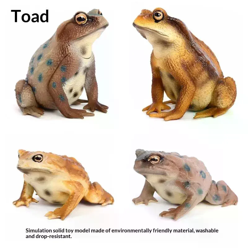1Pcs Hand Painted Amphibious Animal Figurine Educational Realistic Toad Frog Figure Rubber Animal Model Toy For Kids
