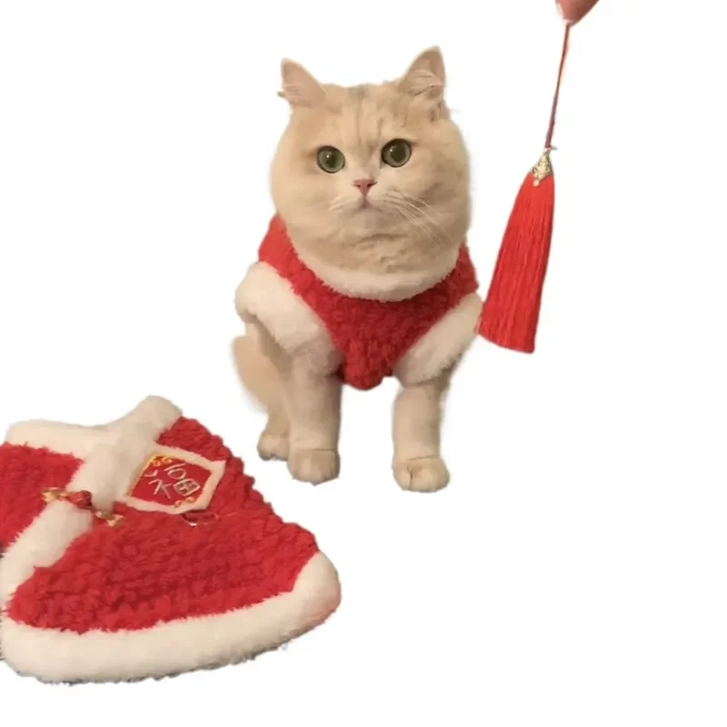

Autumn and winter clothes cute blue gold gradient ragdoll cat blue cat red Chinese New Year festive clothes