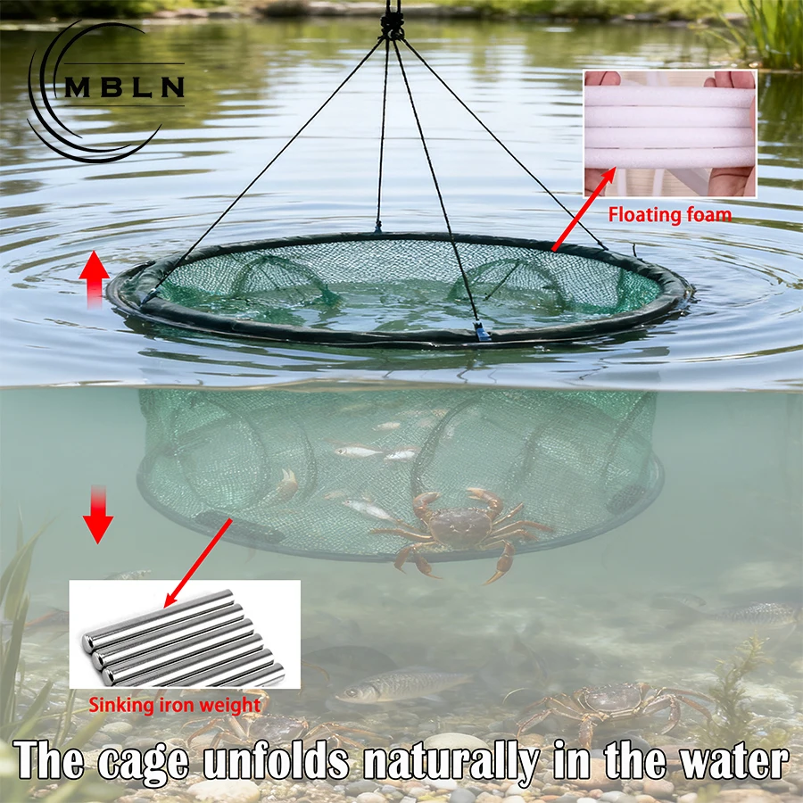 Trampa plegable para camarones y langosta – Red de pesca profesional - imagen 5