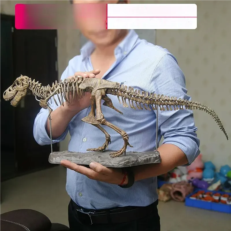 ของเล่นโครงกระดูกไดโนเสาร์ 4 ม - Model Kit Jurassic Park บทวิจารณ์และราคา