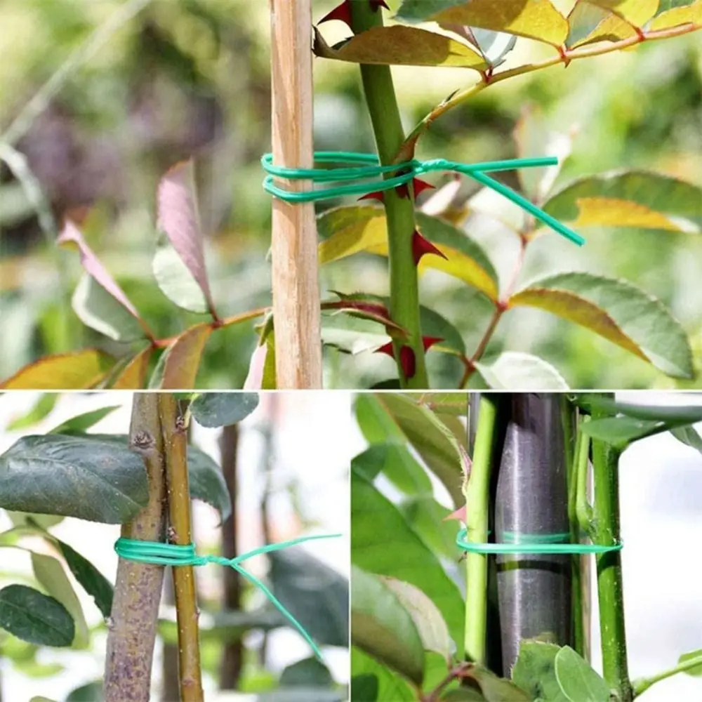 20/50/100m Garden Cable Ties Plant Climbing Lines Plant Twist Ties Plant Bundle Iron Wire Flower Plant Support Strap Tie